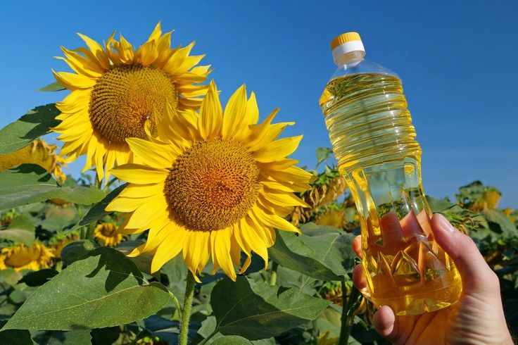 Bulk Iranian Sunflower Oil Supplier in Saudi Arabia, Best Wholesale Price & Full Import Guide
